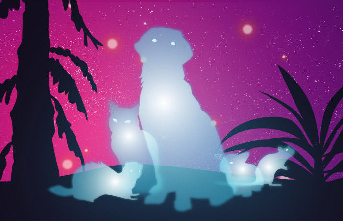 Across The Rainbow Bridge – Platformer